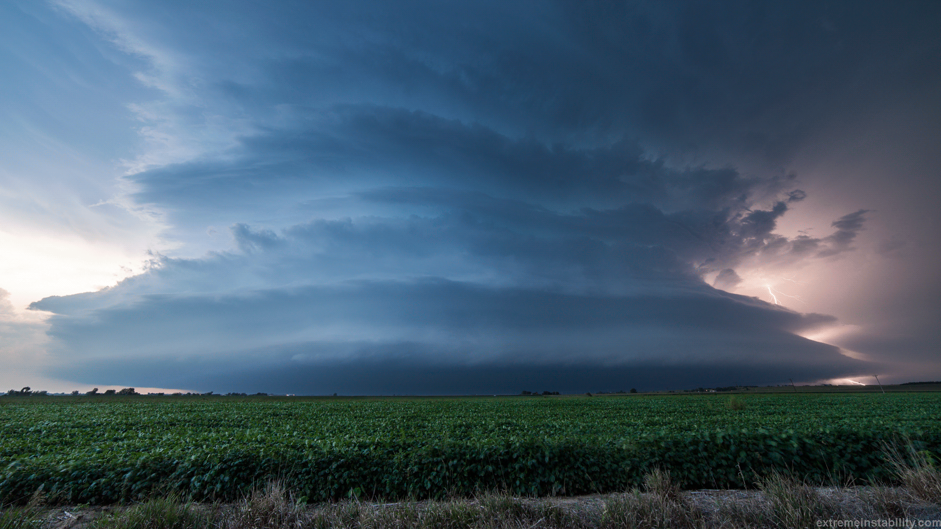 Container 2 image here